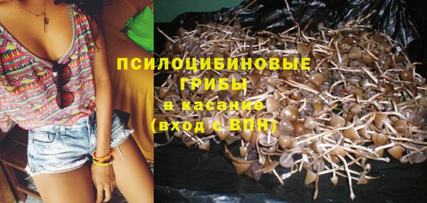 молекула духа Лабытнанги