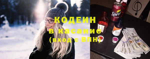 молекула духа Лабытнанги