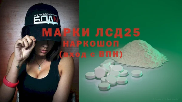 ПСИЛОЦИБИНОВЫЕ ГРИБЫ Лагань