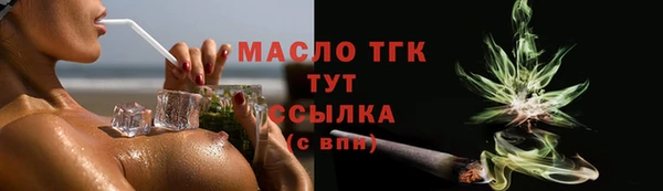молекула духа Лабытнанги