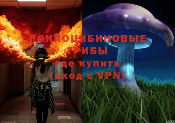 молекула духа Лабытнанги