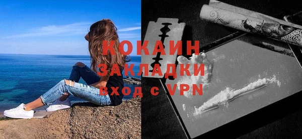 ПСИЛОЦИБИНОВЫЕ ГРИБЫ Лагань