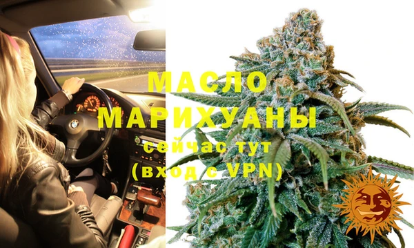 молекула духа Лабытнанги