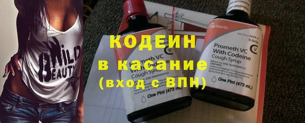 ПСИЛОЦИБИНОВЫЕ ГРИБЫ Лагань