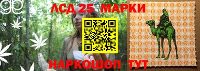 ГАЛЛЮЦИНОГЕННЫЕ ГРИБЫ Бузулук