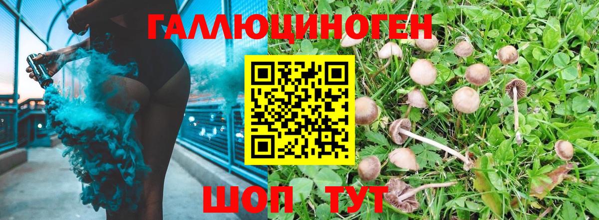 Псилоцибиновые грибы Cubensis  Галлюциногенные грибы Psilocybine cubensis  Вход с VPN  Дивногорск 