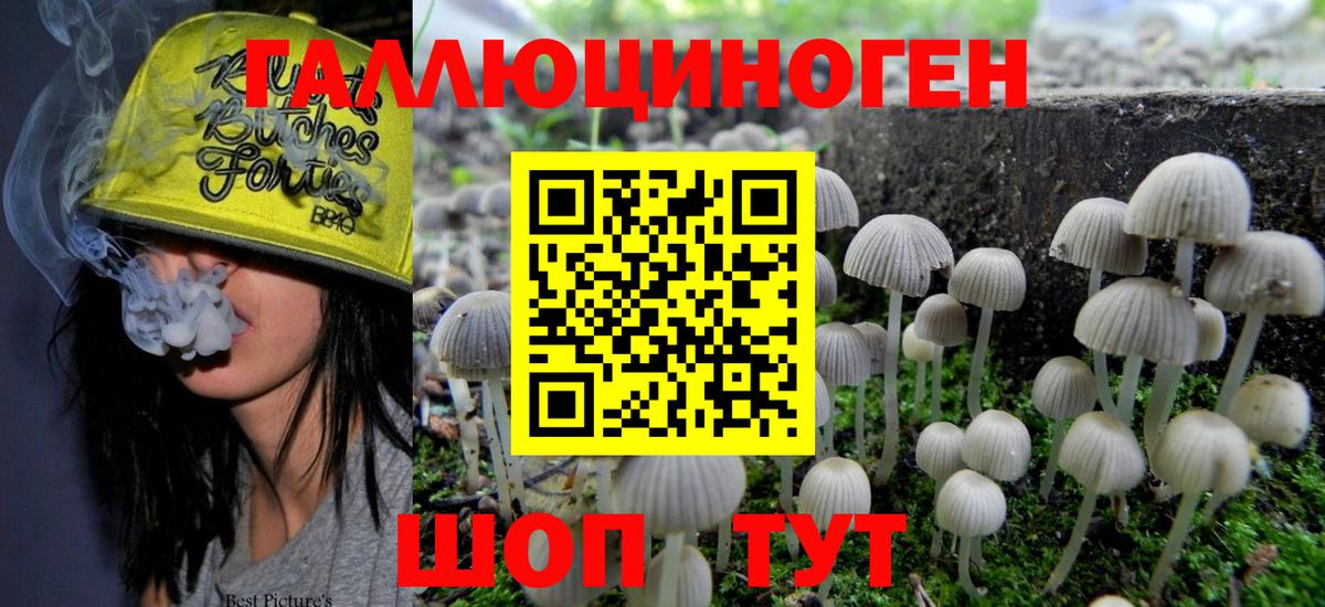 цена наркотик  Галлюциногенные грибы прущие грибы  Дивногорск  Галлюциногенные грибы Psilocybine cubensis 