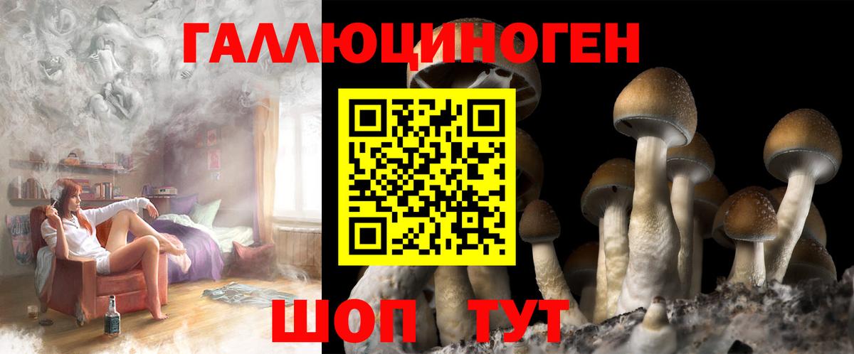 Галлюциногенные грибы Cubensis Дивногорск